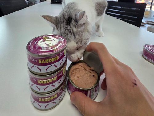 슬라이드 이미지