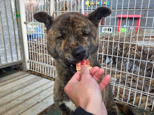 슬라이드 이미지