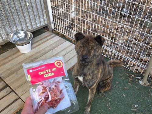 슬라이드 이미지