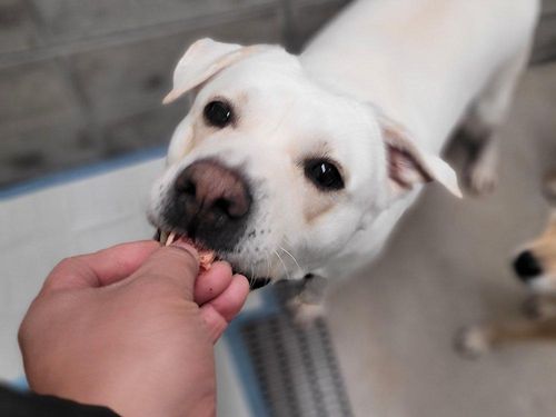 슬라이드 이미지