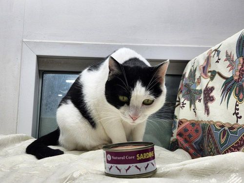 슬라이드 이미지