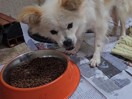 슬라이드 이미지