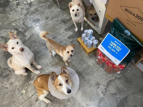 슬라이드 이미지