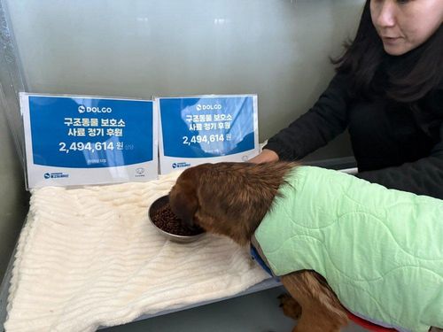 슬라이드 이미지