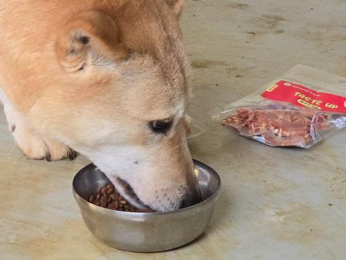 슬라이드 이미지