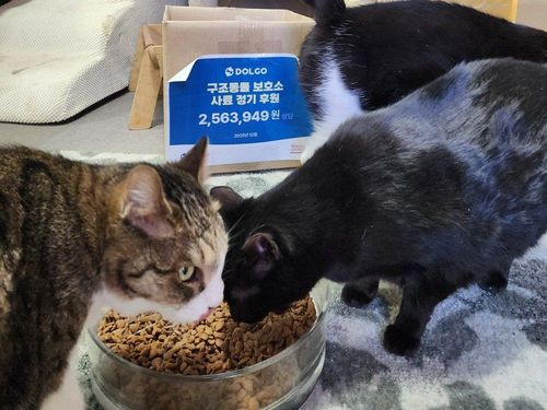 슬라이드 이미지