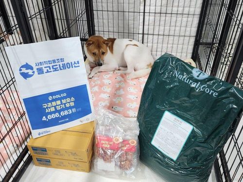 슬라이드 이미지