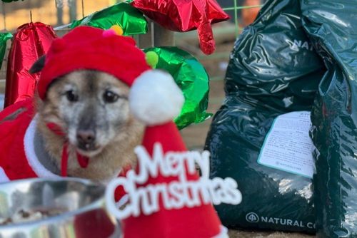 슬라이드 이미지