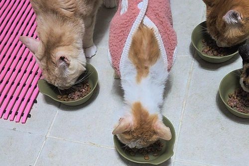 슬라이드 이미지