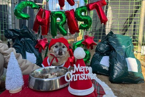 슬라이드 이미지