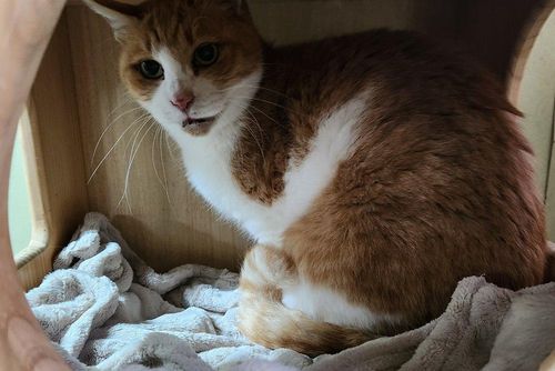 슬라이드 이미지