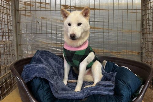 슬라이드 이미지