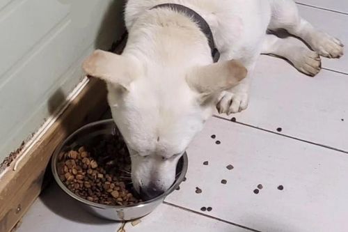 슬라이드 이미지