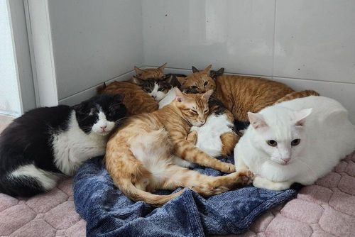 슬라이드 이미지