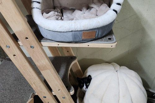 슬라이드 이미지