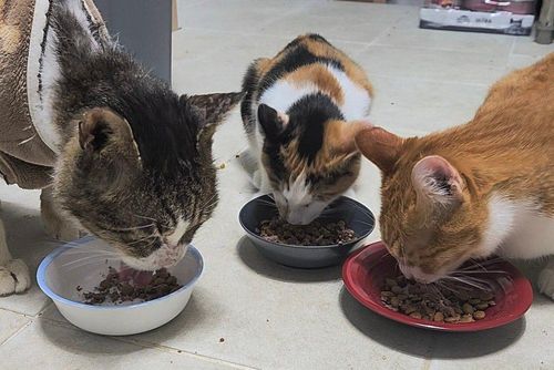 슬라이드 이미지