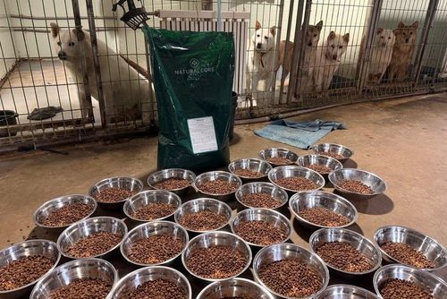 슬라이드 이미지