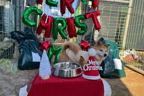 슬라이드 이미지