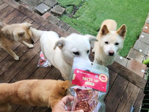 슬라이드 이미지