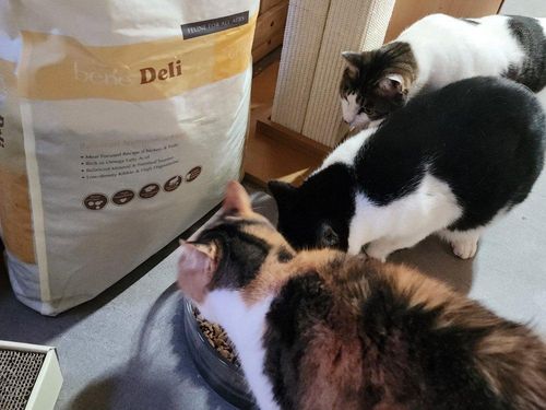 슬라이드 이미지