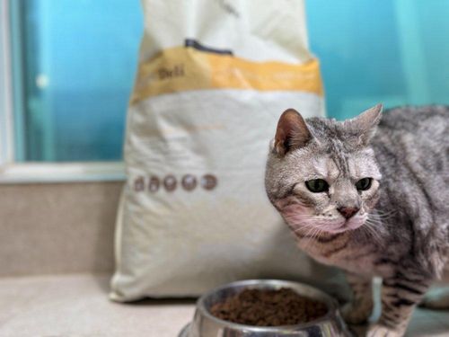 슬라이드 이미지