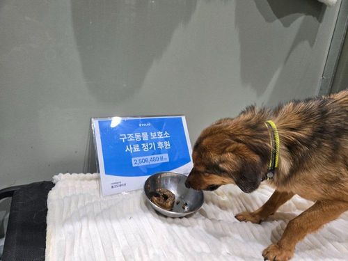 슬라이드 이미지