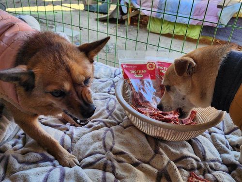 슬라이드 이미지