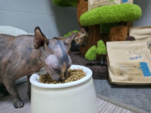 슬라이드 이미지