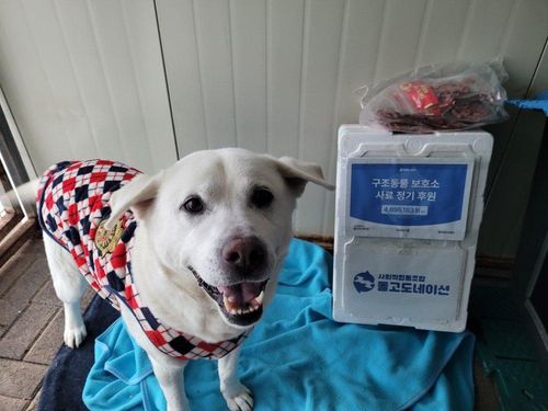 슬라이드 이미지