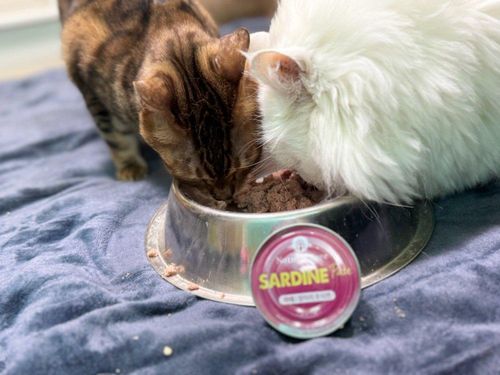 슬라이드 이미지