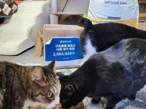 슬라이드 이미지