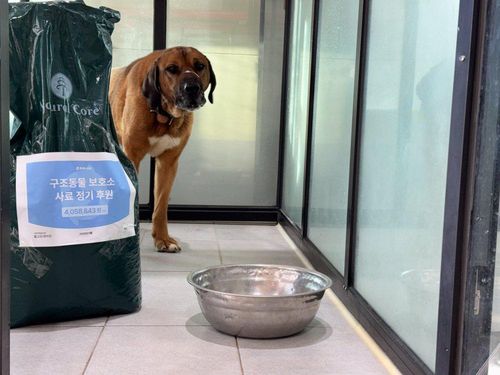 슬라이드 이미지