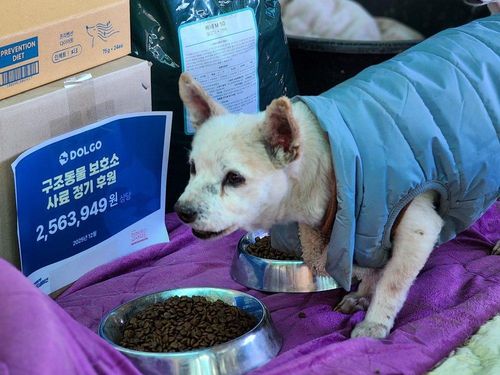 슬라이드 이미지