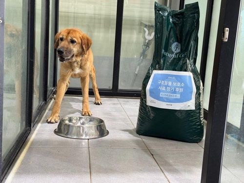 슬라이드 이미지