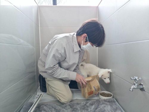 슬라이드 이미지