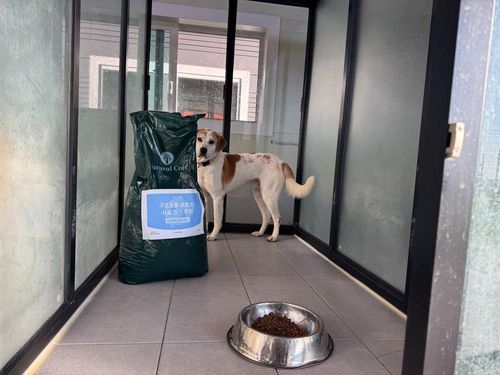 슬라이드 이미지