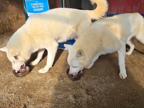 슬라이드 이미지