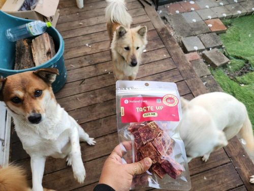 슬라이드 이미지