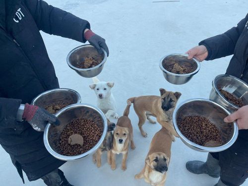 슬라이드 이미지