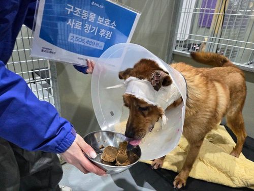 슬라이드 이미지