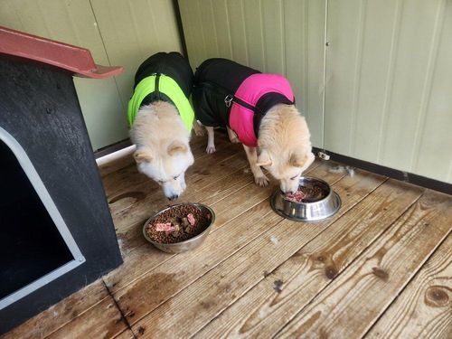 슬라이드 이미지