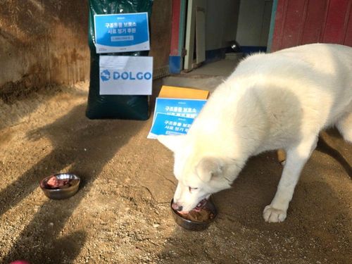 슬라이드 이미지