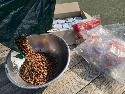 슬라이드 이미지