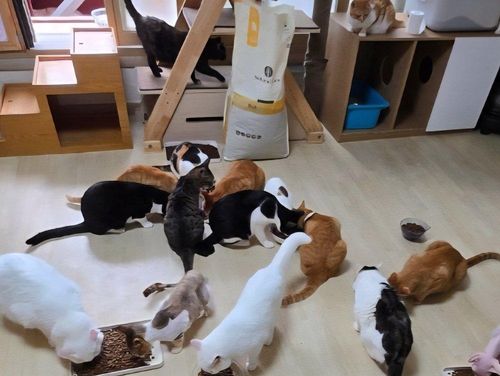 슬라이드 이미지