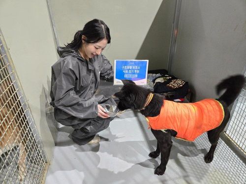 슬라이드 이미지