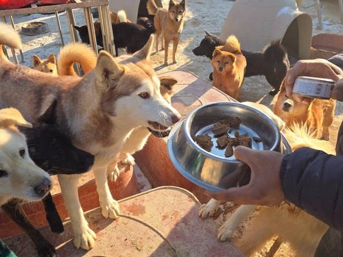 슬라이드 이미지