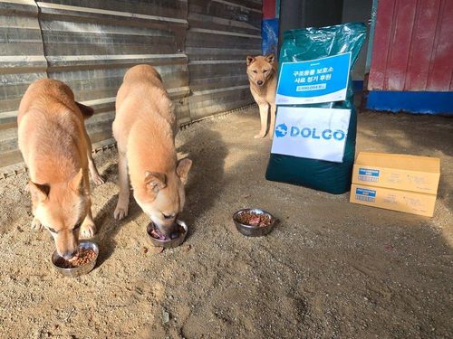 슬라이드 이미지