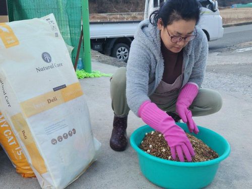 슬라이드 이미지