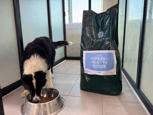 슬라이드 이미지