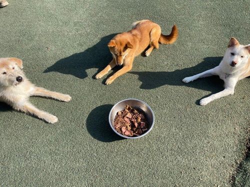 슬라이드 이미지